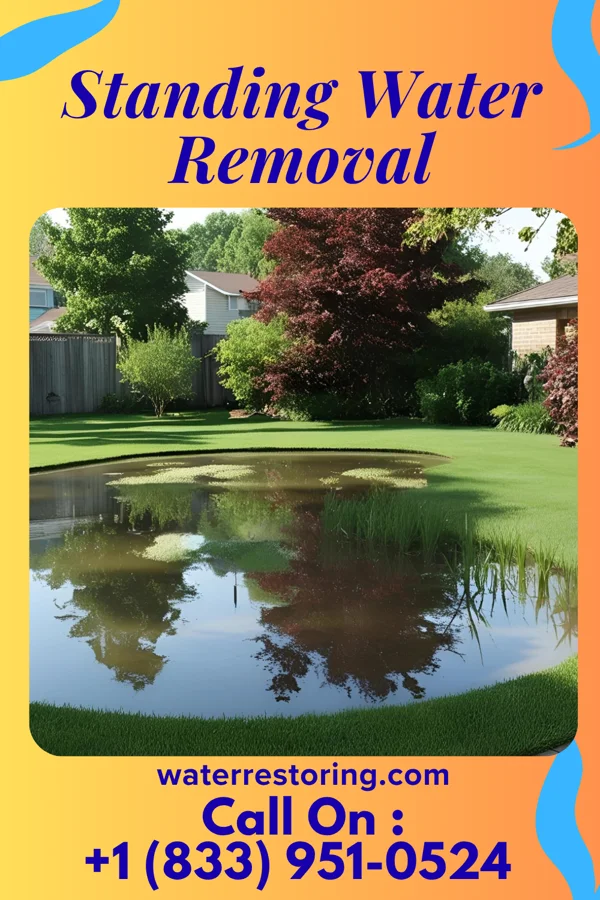 Standing Water Removal in Longoria, TX